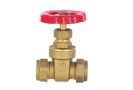 Brass Gate Valves (RS2005)