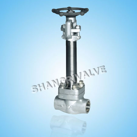 Low Temperature Welded Gate Valve (Type: DZ61Y)