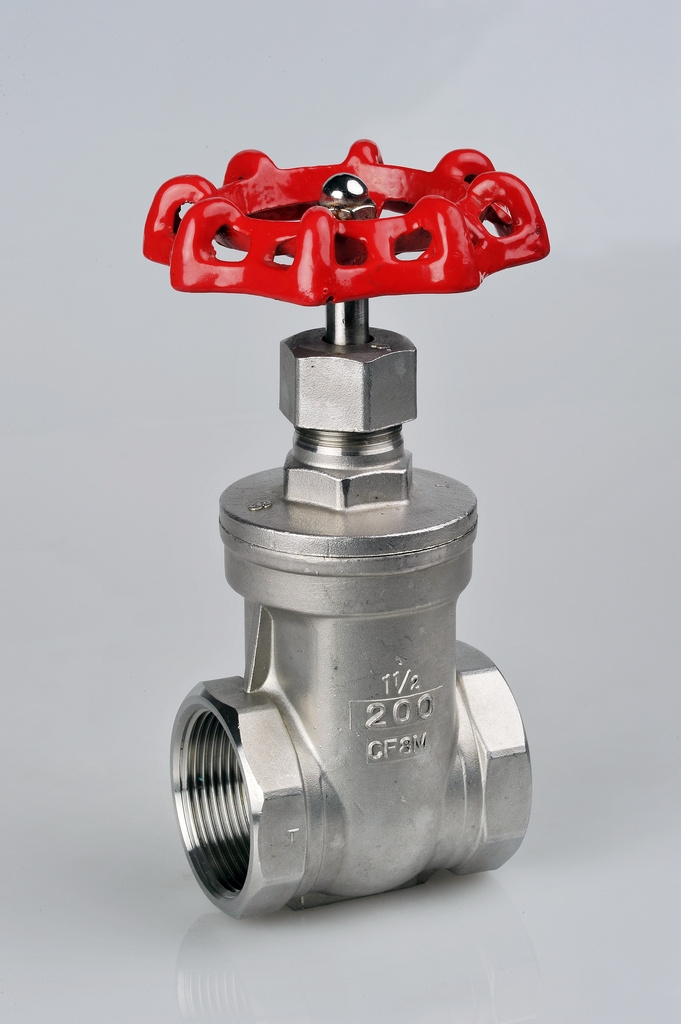 200wog Stainless Steel Gate Valve