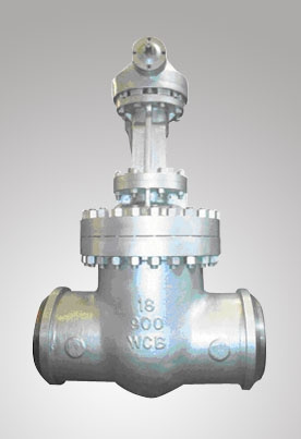 Class 900 Gate Valve