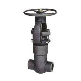 Pressure Seal Gate Valve (NPT/SW/BW)