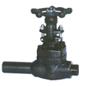 Extended Body Gate Valve (LIFC4009)