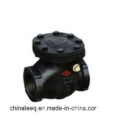 250lb Swing Check Valve