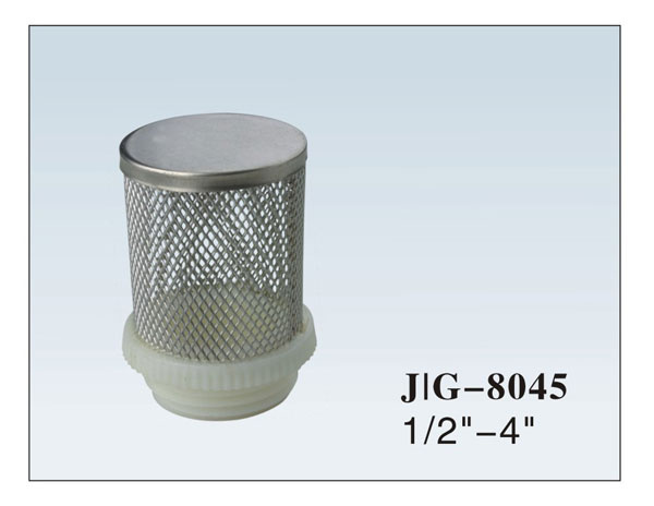 Brass Check Valve - 8