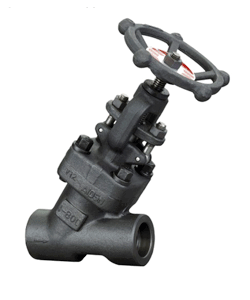 Y-Type Globe Valve