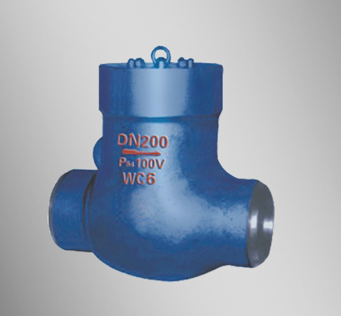 Pressure Sealed Check Valve