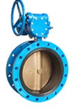 Butterfly Valve