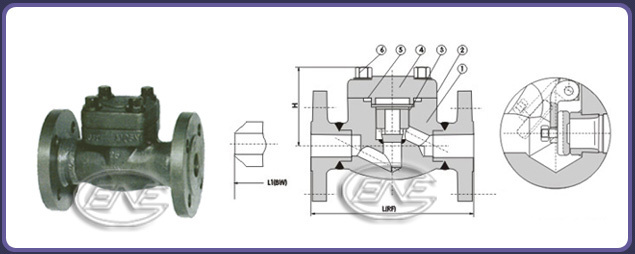 Check Valve