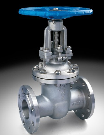 Stainless Steel Flanged Gate Valve