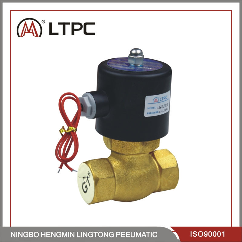 2L Series Steam Type Brass Valve