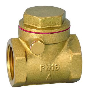 Swing Check Valve