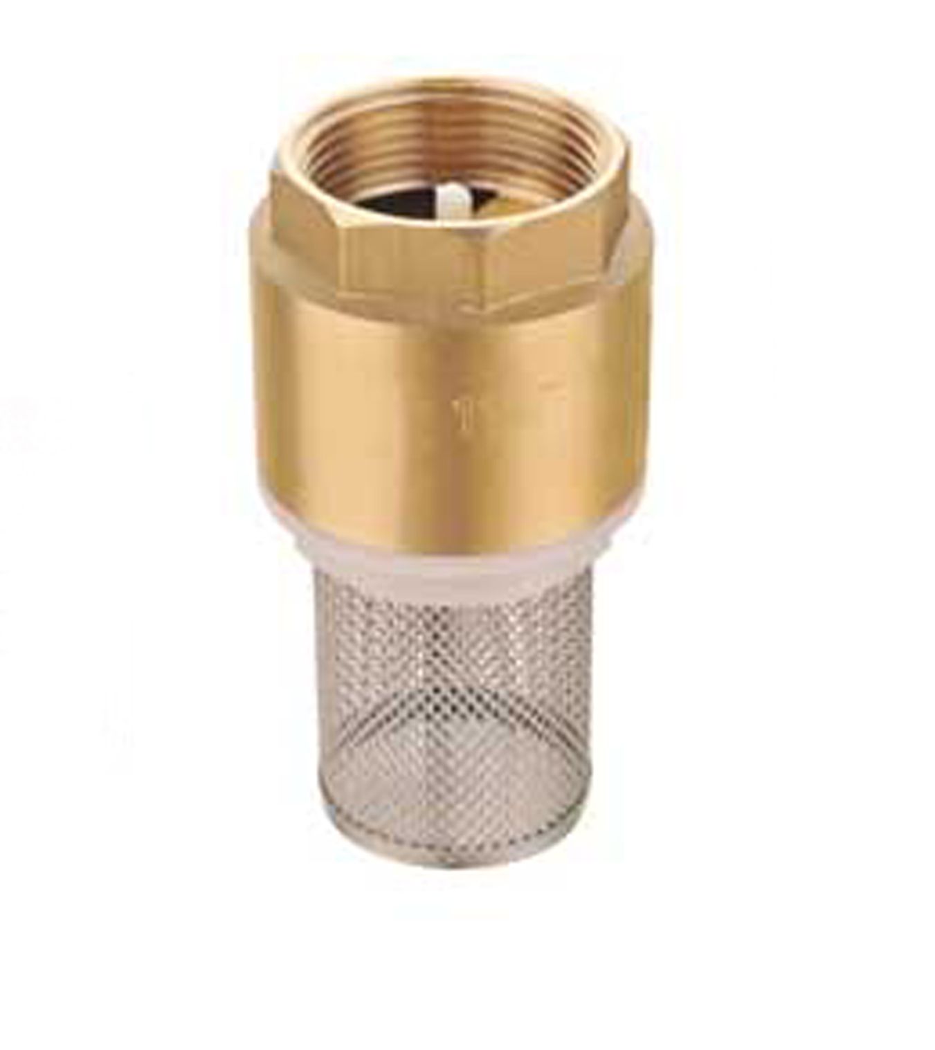 Foot Valve-Brass Foot Valve (4303)