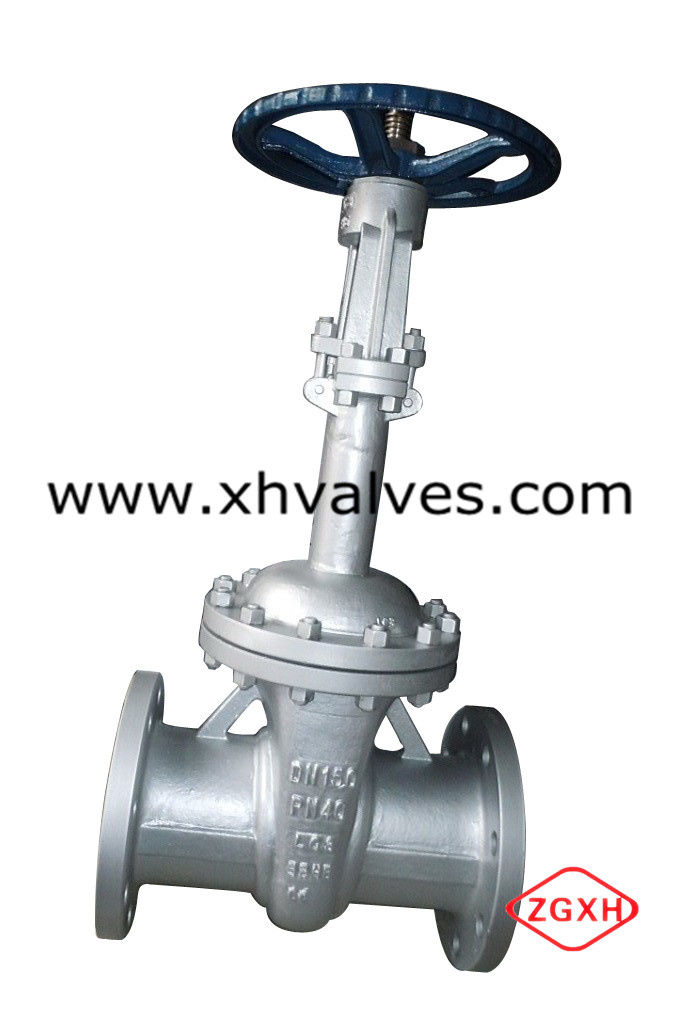 LC3 Low Temperature Extended Stem Gate Valve