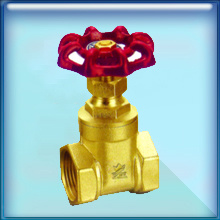 Brass Gate Valve-1102