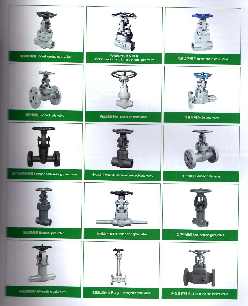 Forged Steel Gate Valve