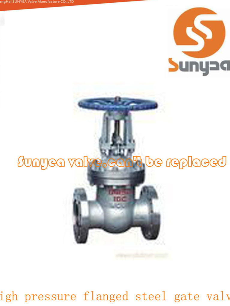 Cast Steel Flanged Gate Valve (Z44H/Y)