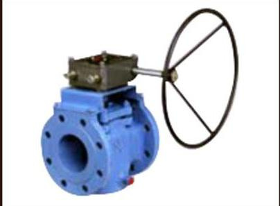 Worm Gear Plug Valve