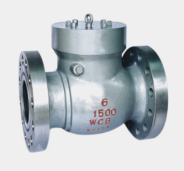 Check Valve (2)