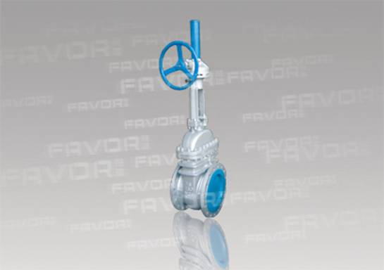 API Gate Valve - 02