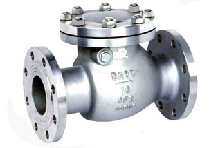 Stainless Steel Check Valves