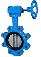 Butterfly Valve