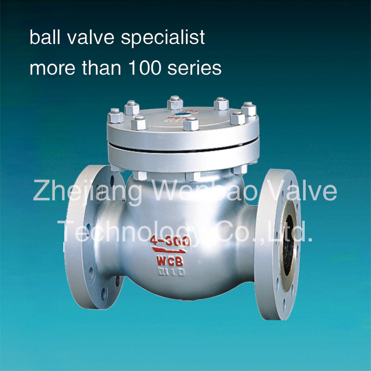 ANSI Flanged Cast Steel Flanged Check Valve