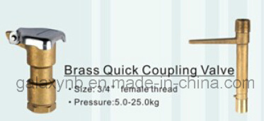 High Quality Brass Quick Coupling Valve