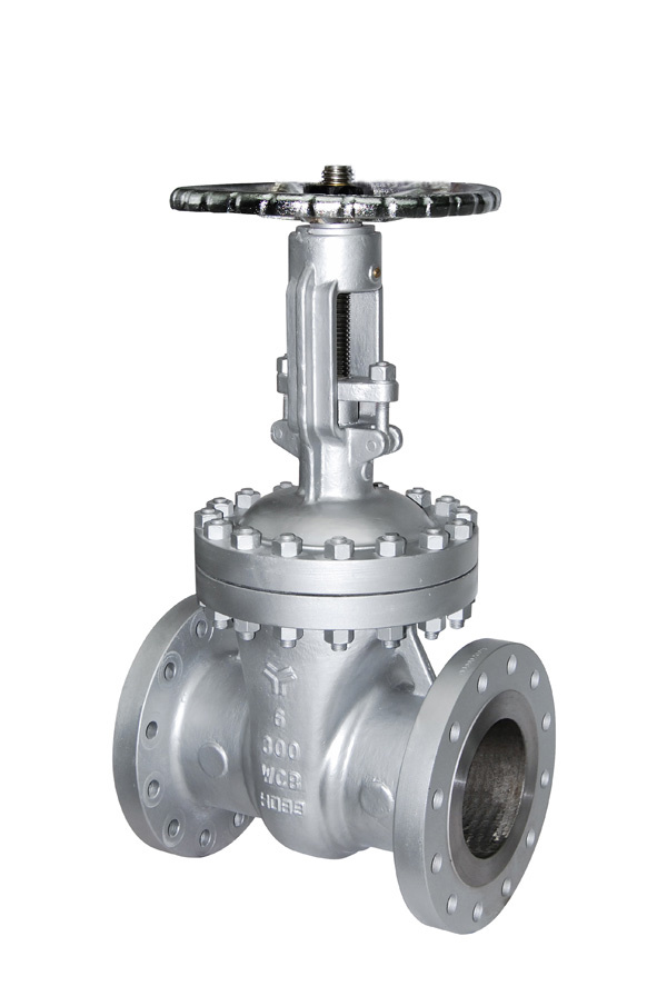 Professional Carbon Steel Gate Valve Manufacturer and Supplier