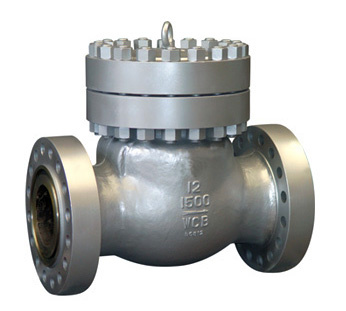 API Wing Check Valve