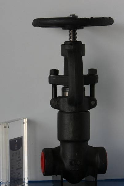 Pressure Sealing Globe Valve