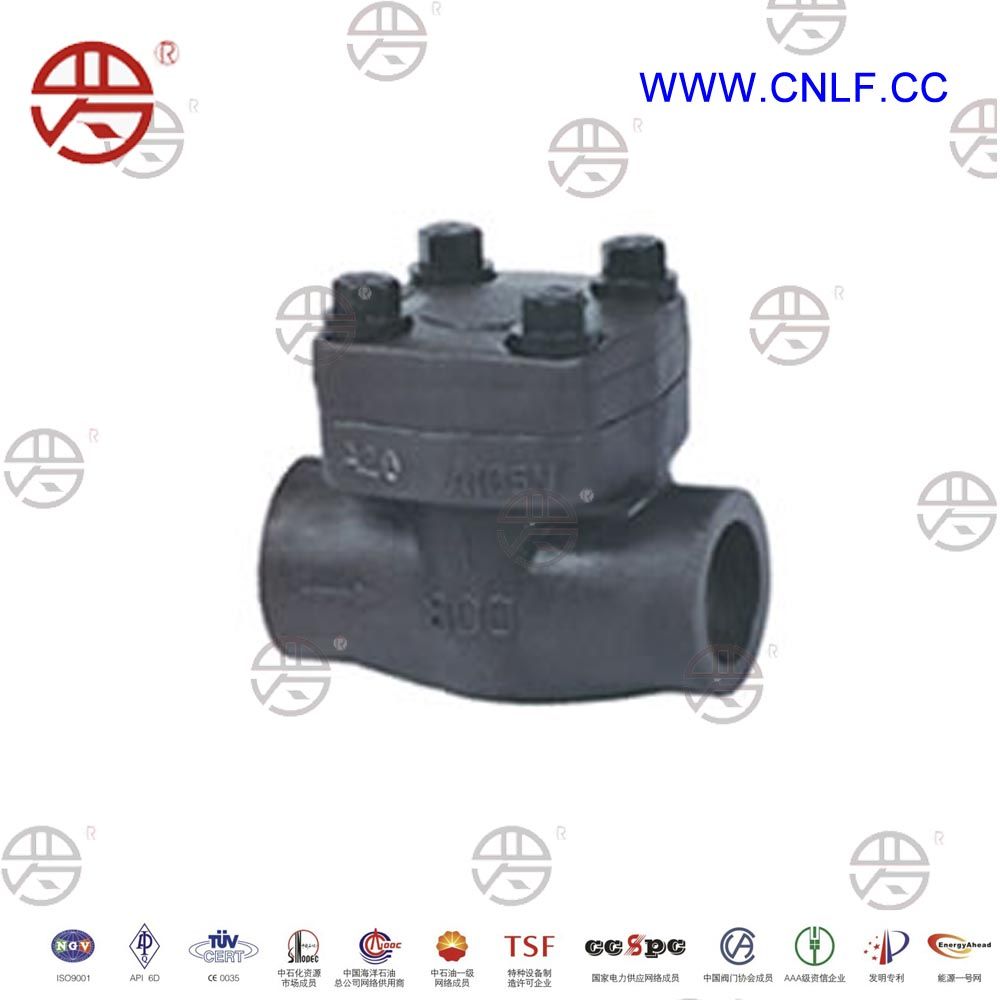 Forged Steel Check Valve