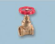 Gate Valve (JY-V6001)