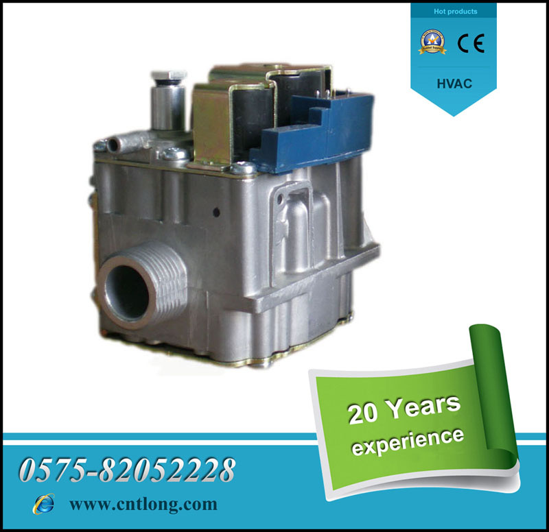 Gas Valves for Wall Hung Boiler, Gas Water Heater (EBR2006)
