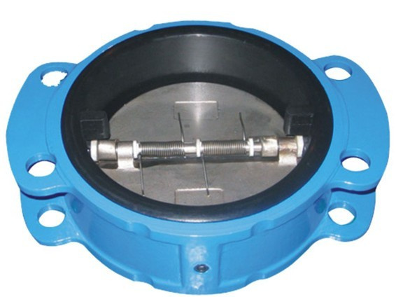 Rubber-Coated Check Valve