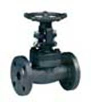 Forged Steel Globe Valve (J-03)