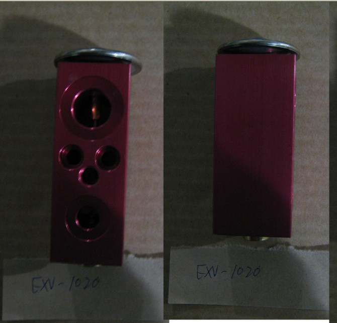 Exv-1020 Auto a/C Expansion Valve