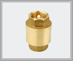 Check Valve