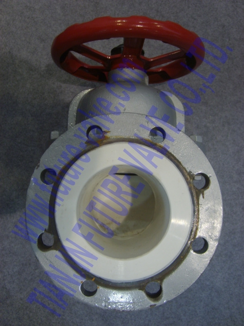 Competitive Diaphragm Valve (G41F-16)