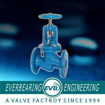 Globe Valve (GBV-022-G)