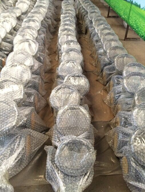 DIN Cast Iron Flanged Globe Valve