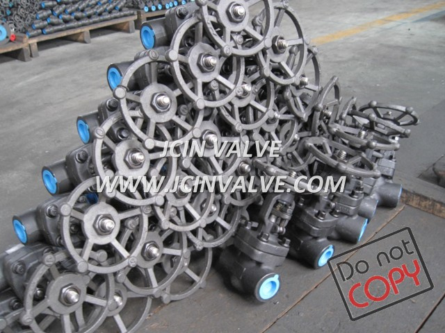 Forged Steel Outside Screw and Yoke Gate Valve