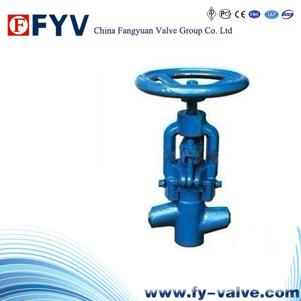 High Pressure Globe Valve for Power Station