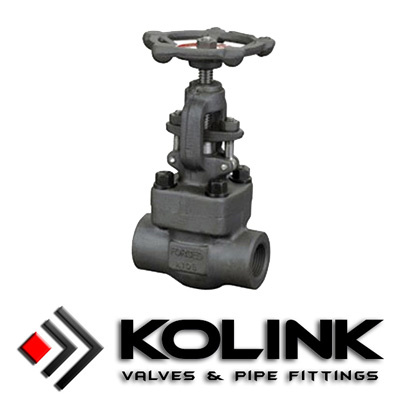 Forged Steel Globe Valve