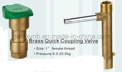 Hot Sale Brass Quick Coupling Valve