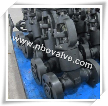 CE Certificate Forged Globe Valve (640bar-4