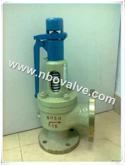 Steam Pressure Release Valve (A48Y)