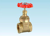 Gate Valve (MC-BGI-002)