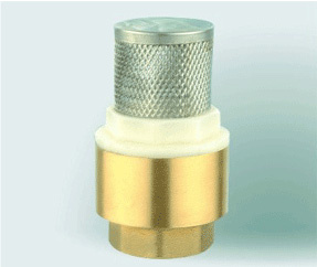Brass Check Valve (LQ-320)