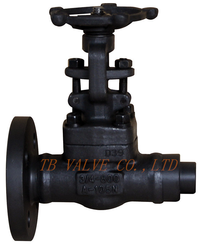 Forged Steel Extended Body Gate Valve