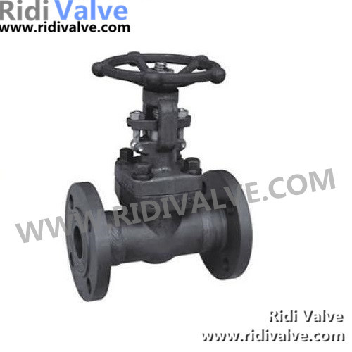 API 602 Forged Steel Flanged Gate Valve (Z41H)